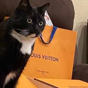 Louis Vuitton Orange and Black Cat Ensemble